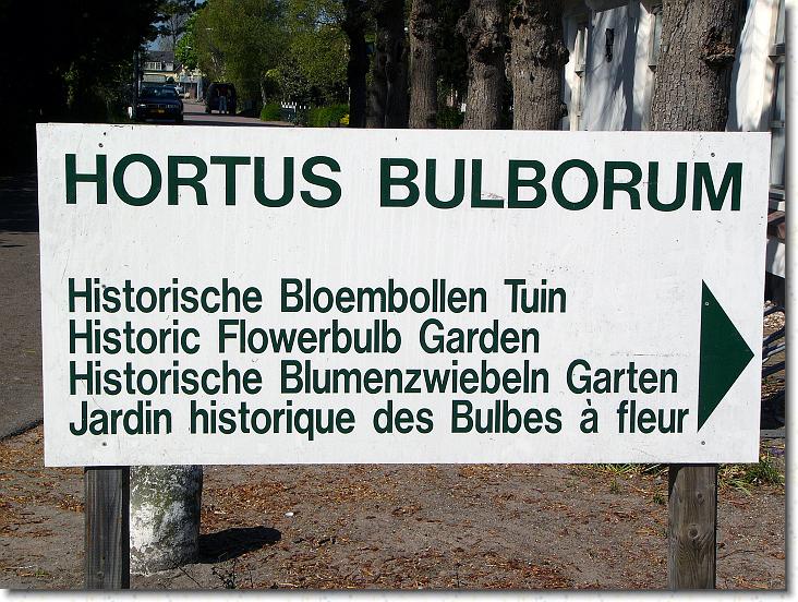 Næste billede